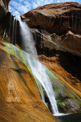 DSC_2268.jpg (4288x2848) NIKON D300 - 18-200mm f/3.5-5.6 // F8 // 1/250 sec // ISO 200 // 18,0 mm // no Flash // 2008:07:14 10:52:38 DSC_2268.jpg (4288x2848) NIKON D300 - 18-200mm f/3.5-5.6 // F8 // 1/250 sec // ISO 200 // 18,0 mm // no Flash // 2008:07:14 10:52:38